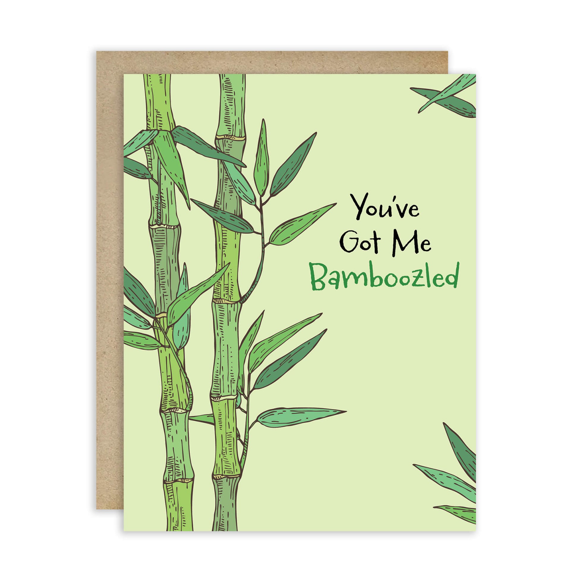 bamboozled-asian-greeting-card-funny-valentines-birthfday-bamboo-shoot-0
