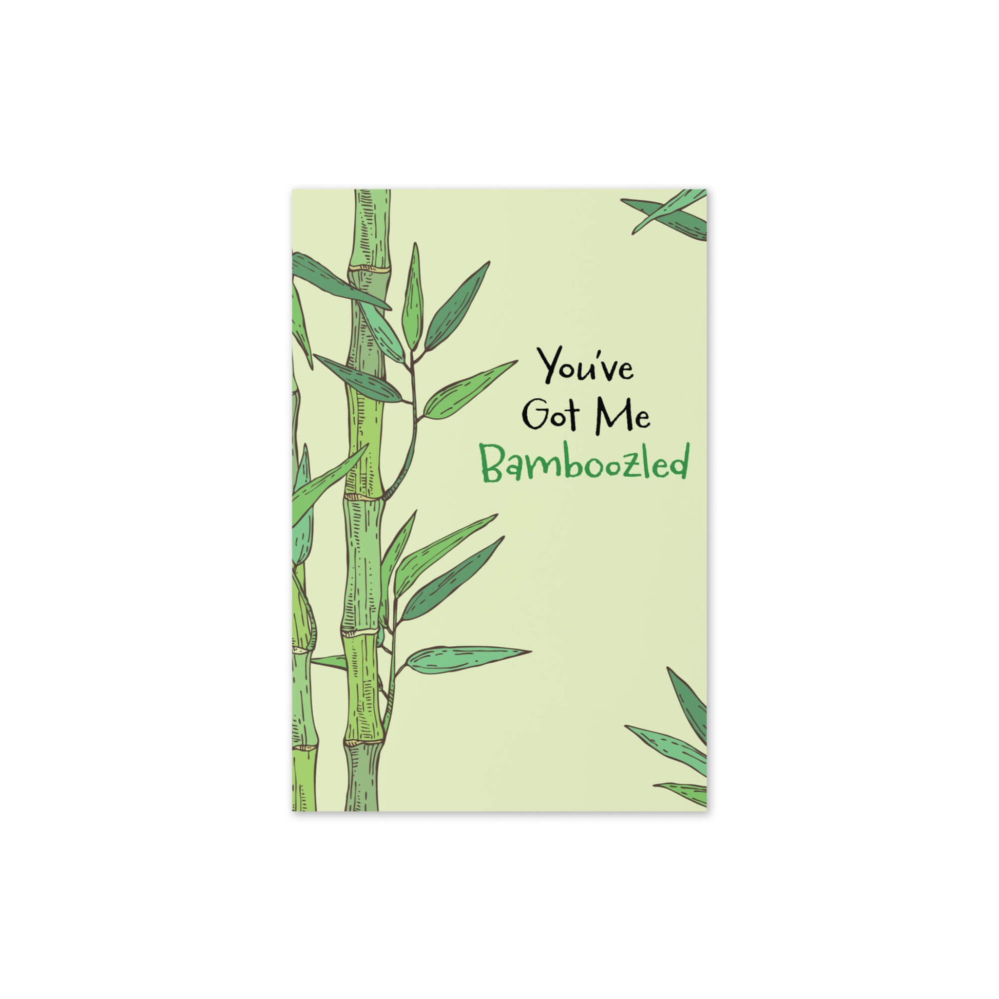 bamboozled-asian-greeting-card-funny-valentines-birthfday-bamboo-shoot-0