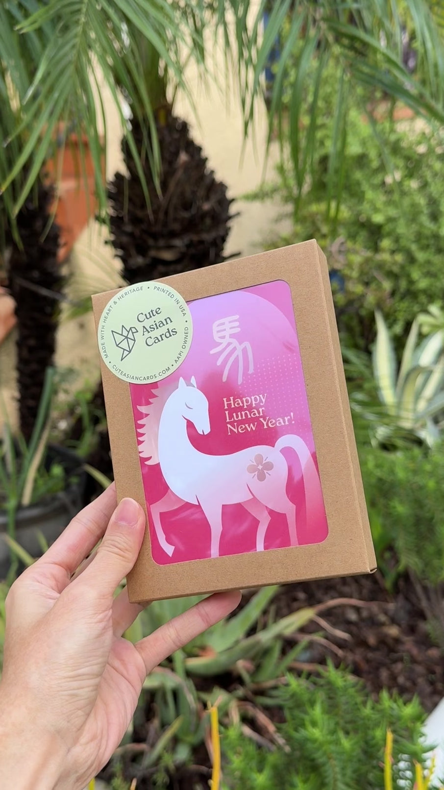 Red Lantern Lunar New Year Cards | 8 Assorted Cards + Envelopes Set