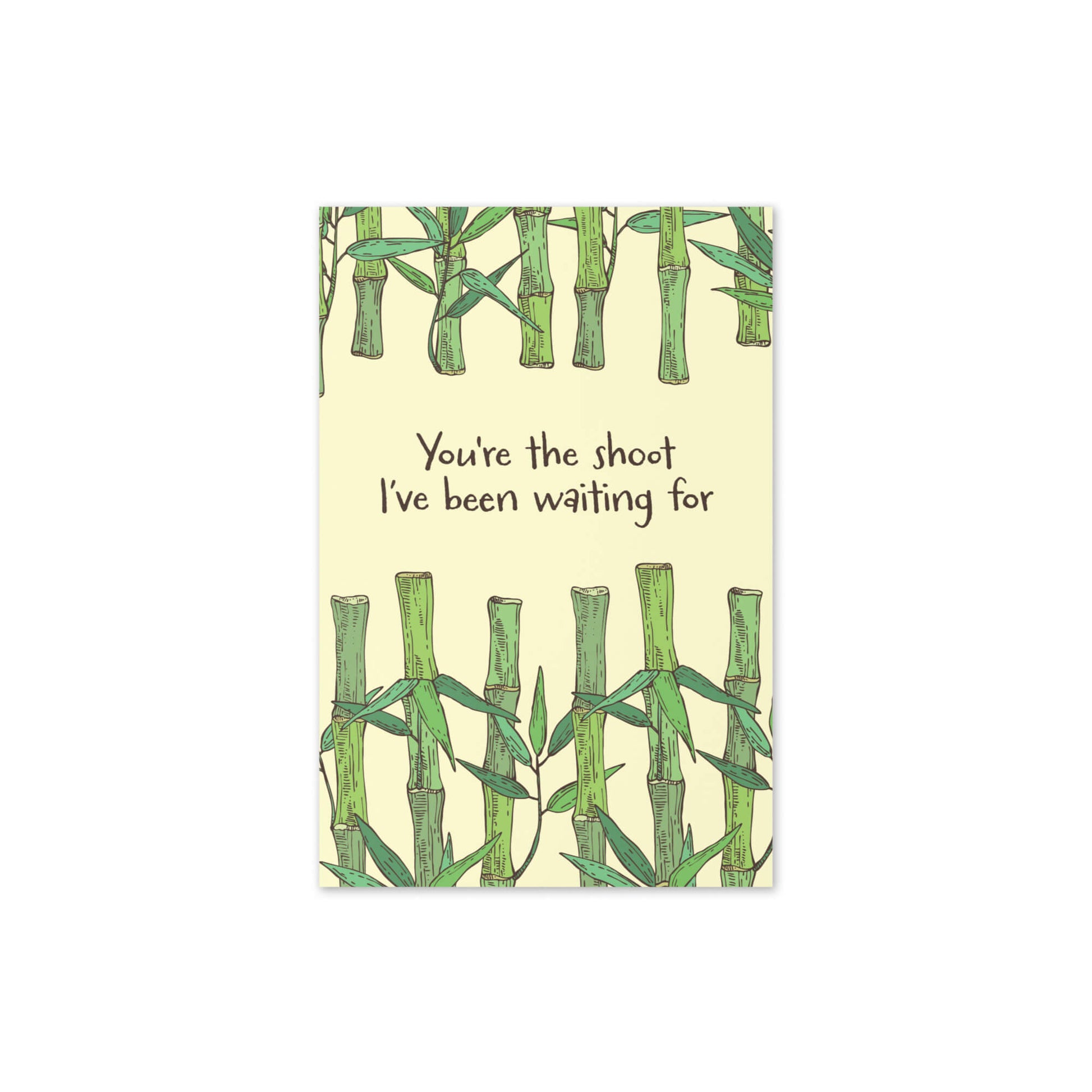 youre-the-bamboo-shoot-asian-card-greeting-funny-birthday